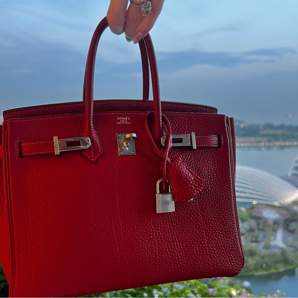HERMES Togo Birkin 25 with Palladium Hardware - Picture 3 of 16